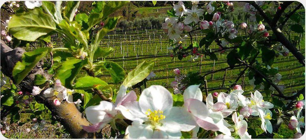 Bressani Farm stay *