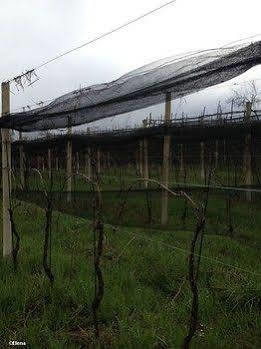 Farm stay Bressani