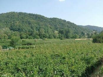 Farm stay Bressani Nimis